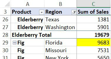 Although Florida Figs are now in C29, they are still highlighted in yellow.