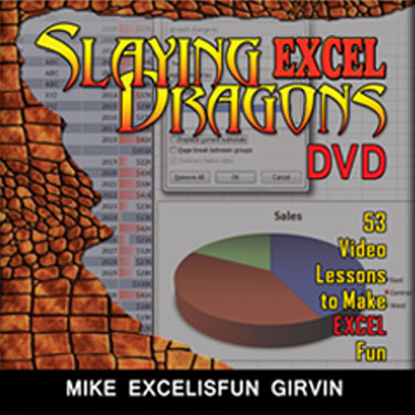 Slaying Excel Dragons DVD