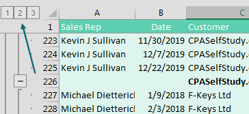 Subtotals have been added. You can see a total row for CPASelfStudy.com Total has been inserted after the records for that customer. Similar totals are added throughout the data. But this screenshot is pointing out that three new Group and Outline buttons have been added to the left of the grid. The buttons are labeled 1, 2, and 3. An arrow is telling you to click the #2 Group and Outline button.