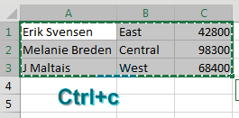 Three new records (not formatted in blue) have been copied from another worksheet.